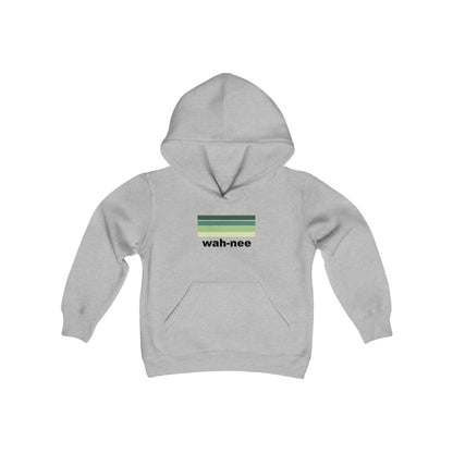 Aviator Color Stripes Hoodie