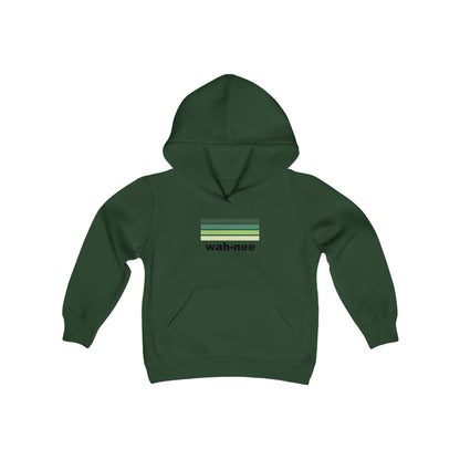 Aviator Color Stripes Hoodie