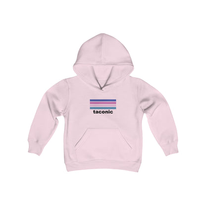 Aviator Color Stripes Hoodie