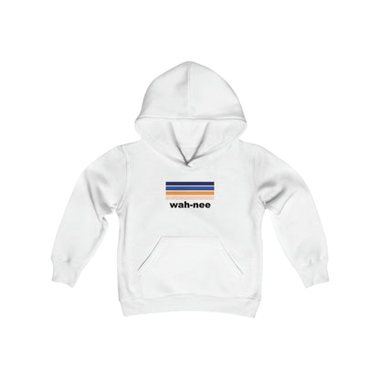 Aviator Color Stripes Hoodie