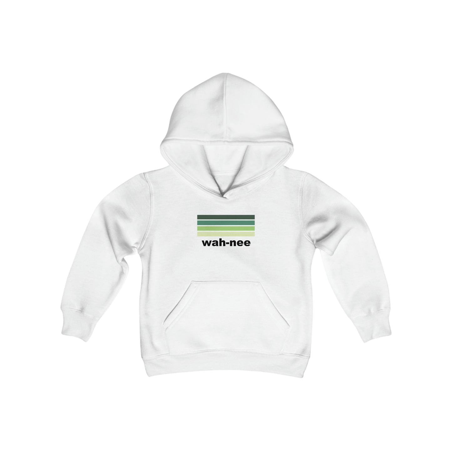 Aviator Color Stripes Hoodie